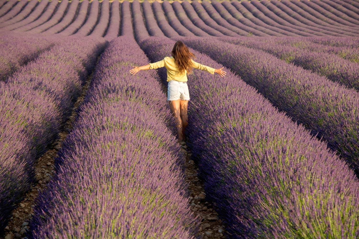 valensole1