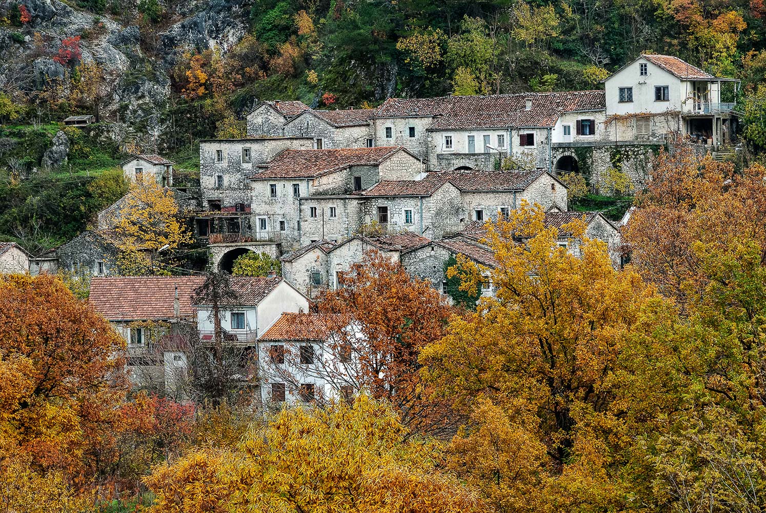 godinje 0710 09