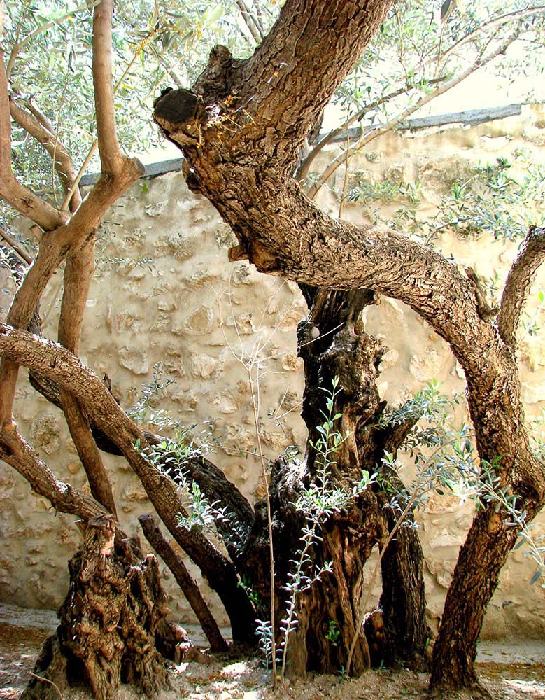 Jerusalem 013 001 copy