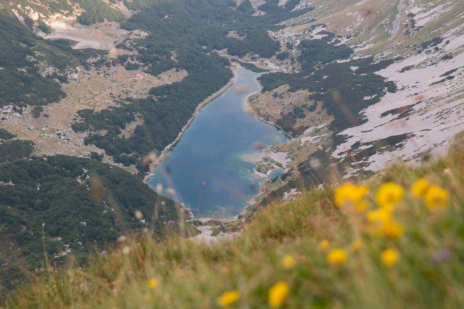 Škrško jezero Marija Šoškić Popović