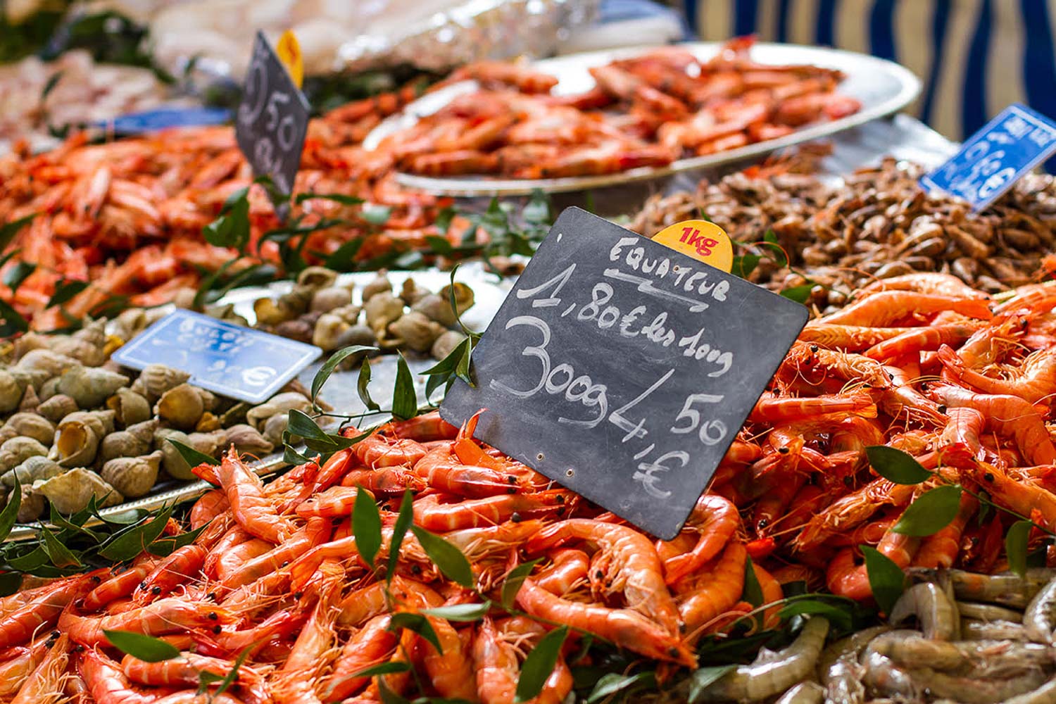 Paris markets Marché dAligre