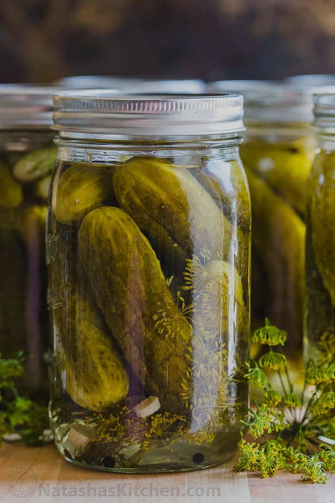 Canned Dill Pickle Recipe 5 copy