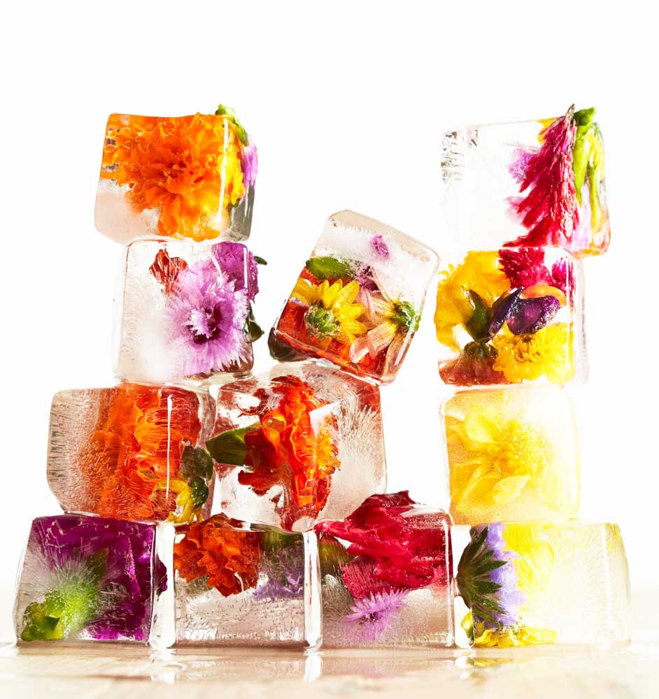 edible flowers ice cubes D RteS3RaML9Y 4 TEC XB 8db02910db0b415c8451ff6a1622e274