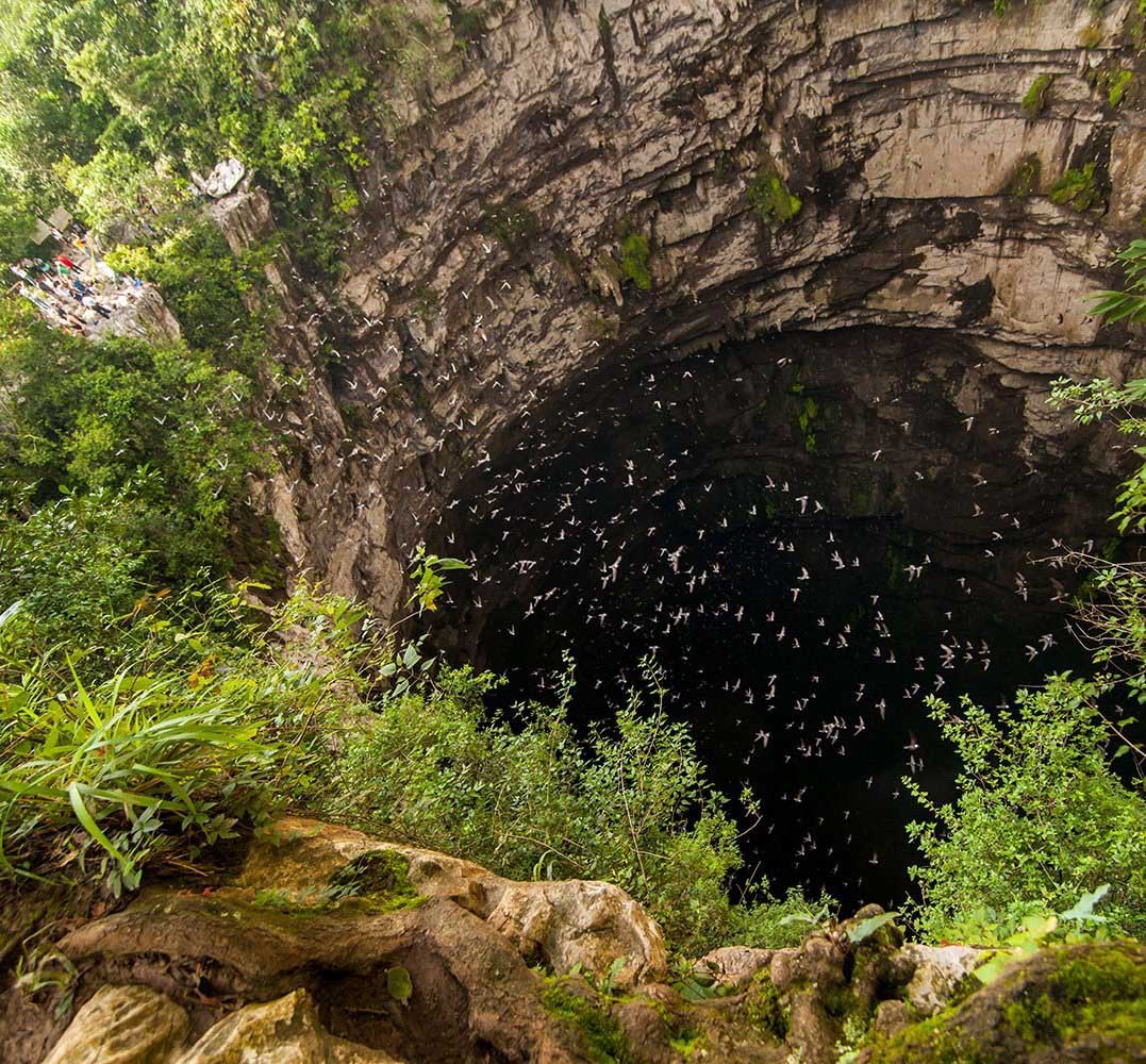 swallows abyss huasteca potosina