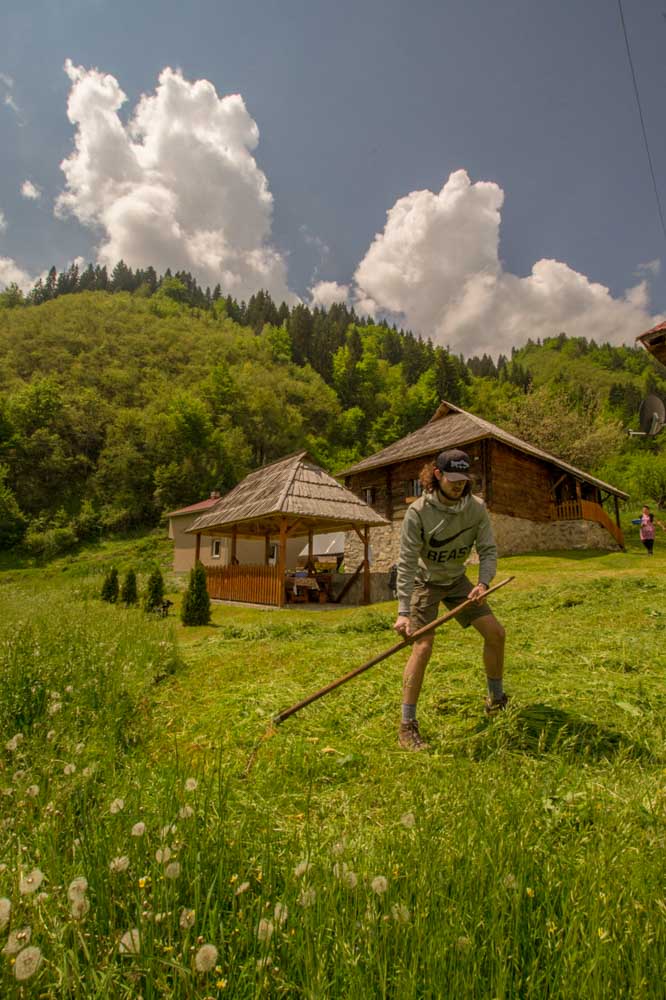 kljajic farm stay cutting grass