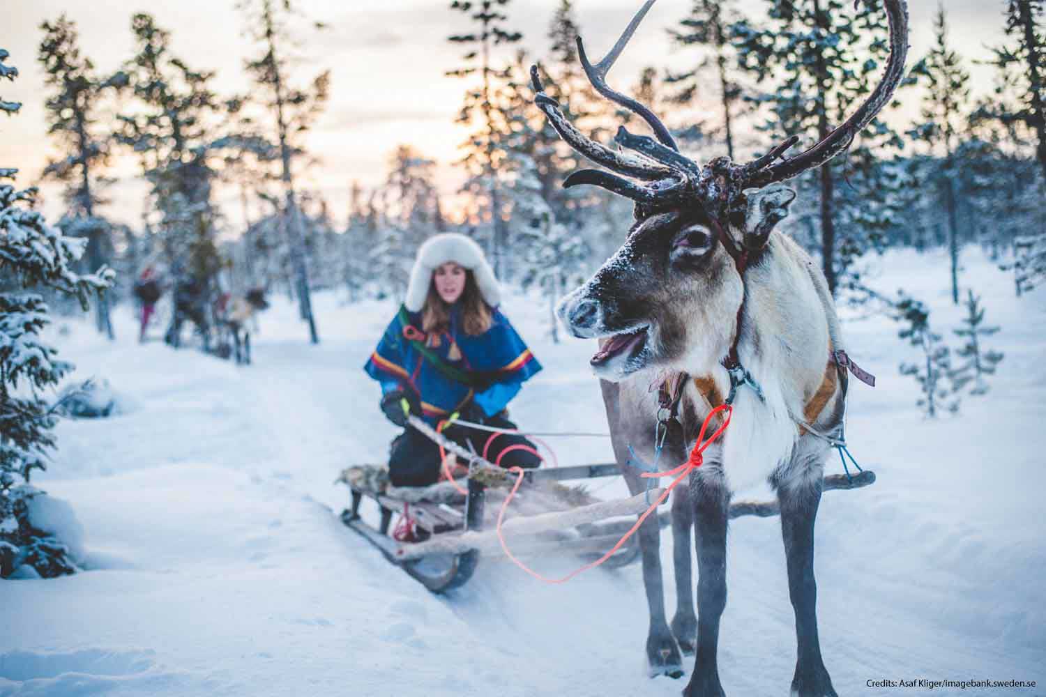 sweden holiday lapland