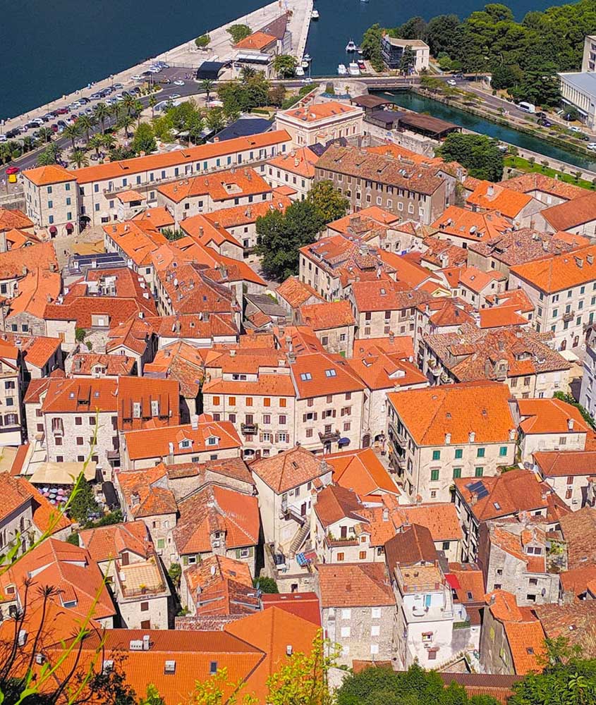 kotor