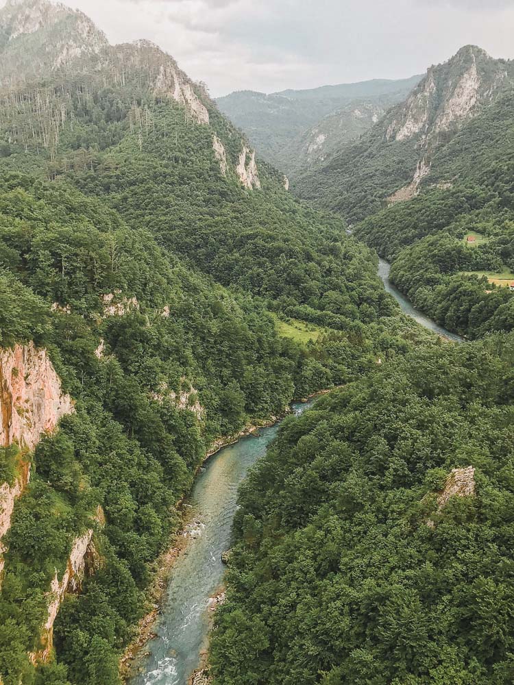 freepik tara high angle view road amidst trees mountains